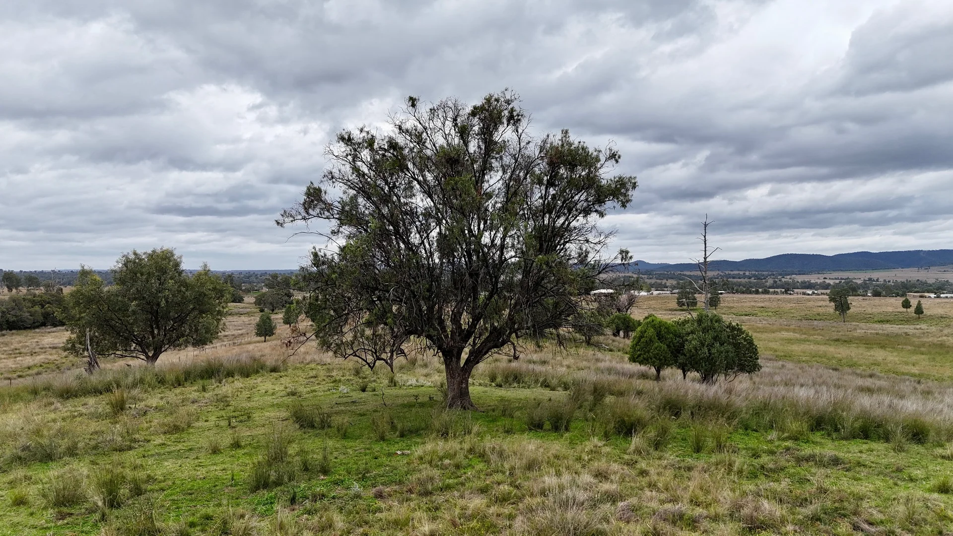 Additional image 12 of Elcombe Road, Bingara NSW 2404