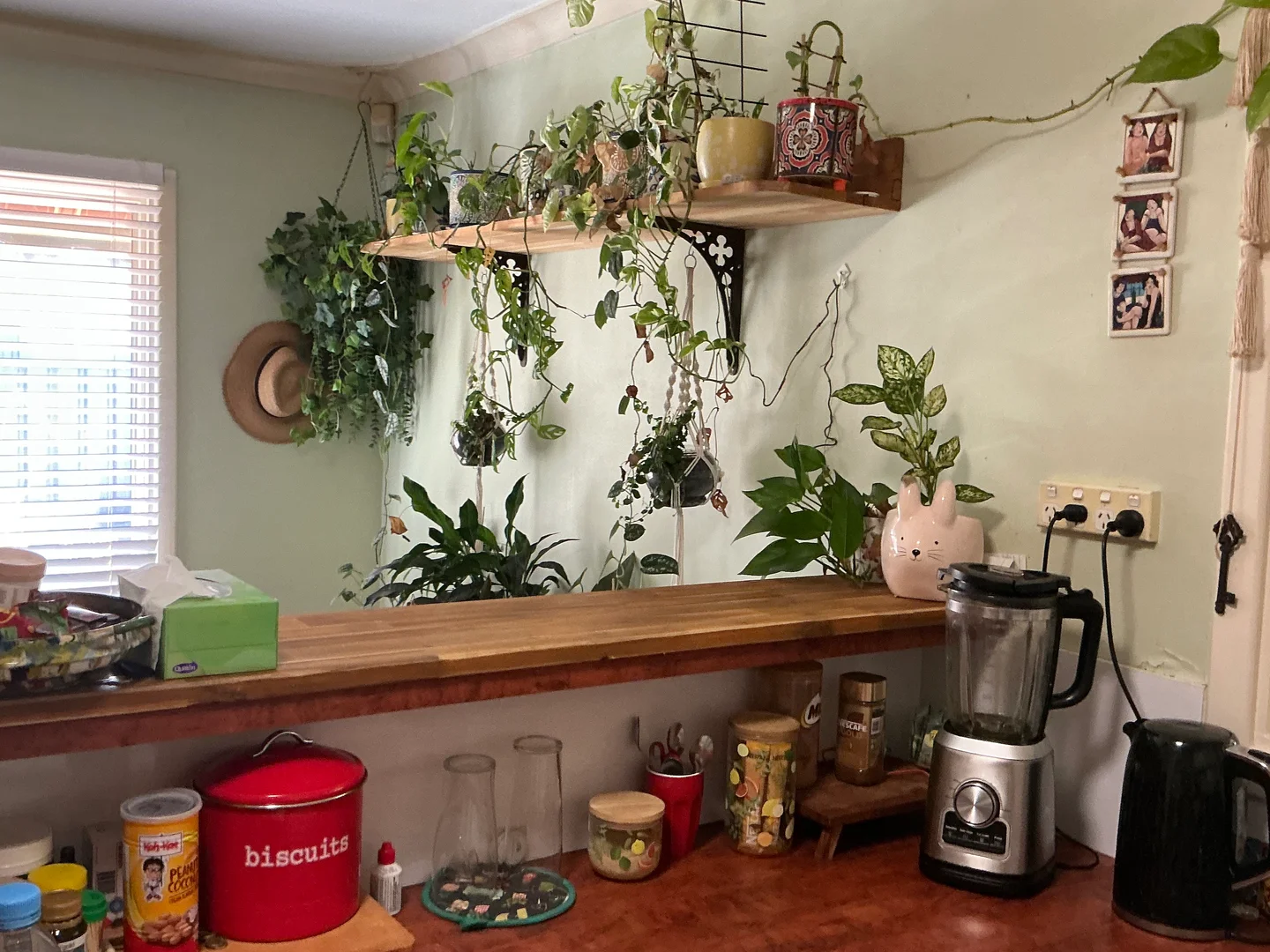 Additional image 23 of Broadwater WA 6280