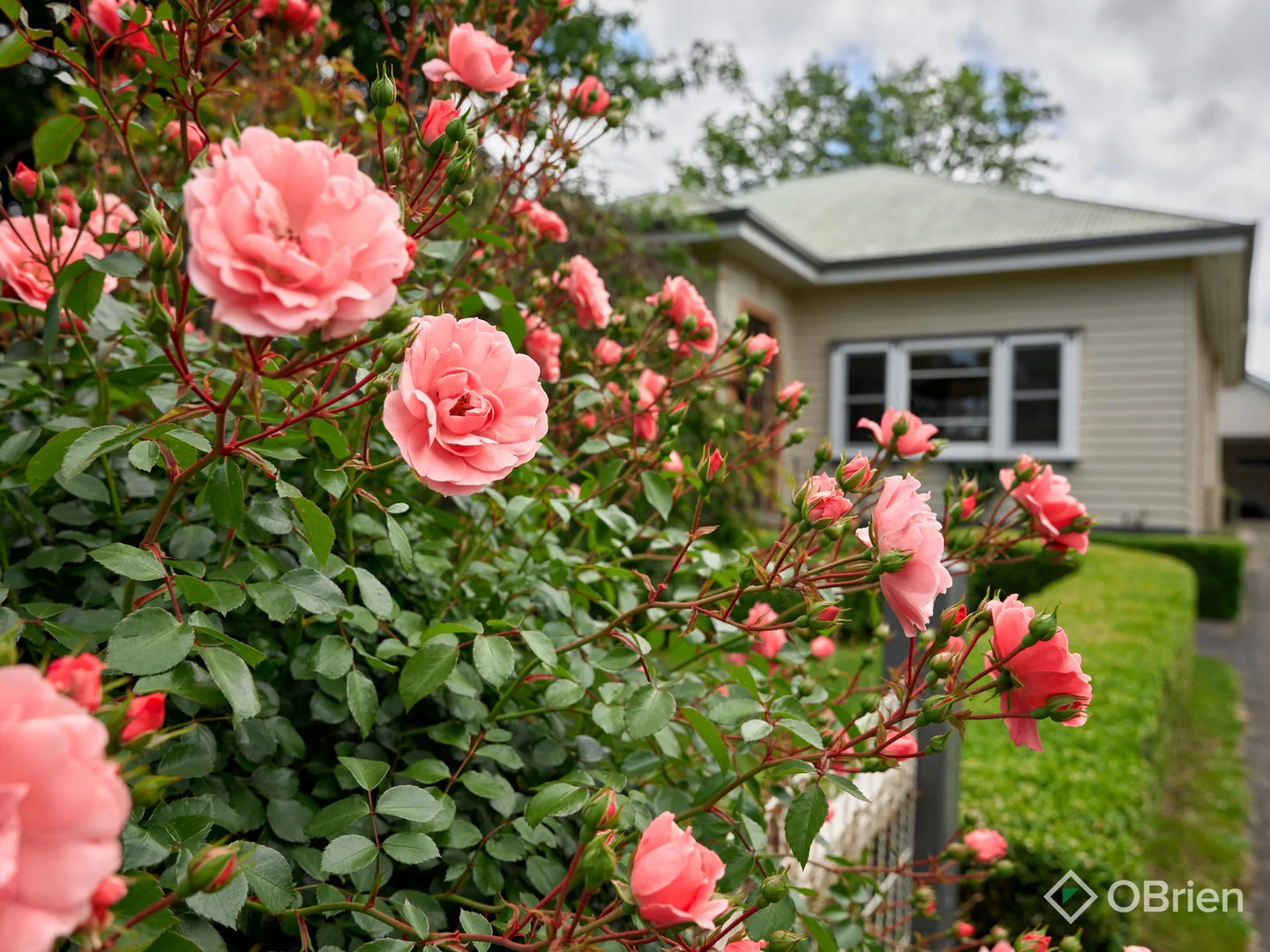 Additional image 18 of 17 Windsor Avenue, Warragul VIC 3820