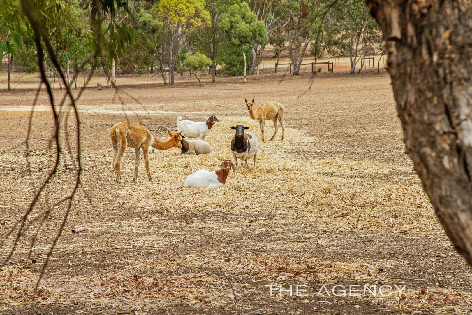 Additional image 35 of 61 Gaden Road, Wundowie WA 6560