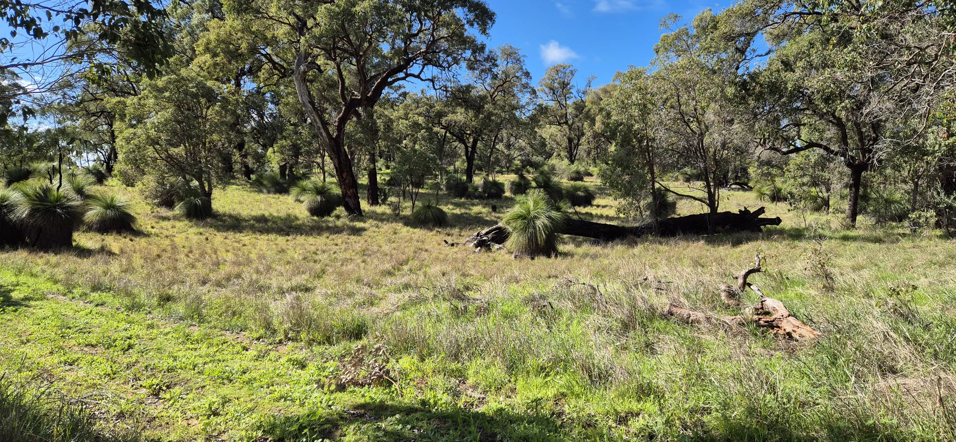 Additional image 2 of 197 Millbank Road, Cowalla WA 6503