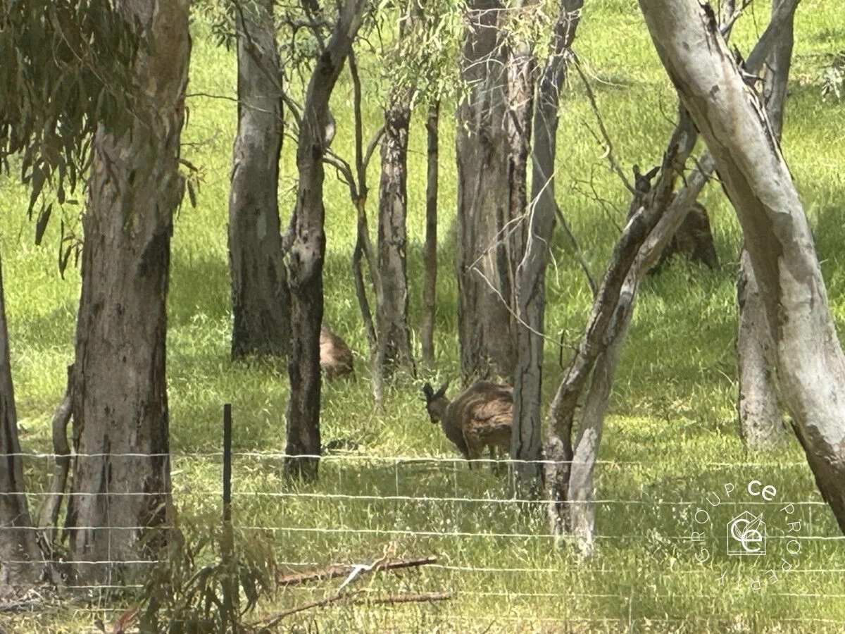 Additional image 42 of 1648 Kersbrook Road, One Tree Hill SA 5114