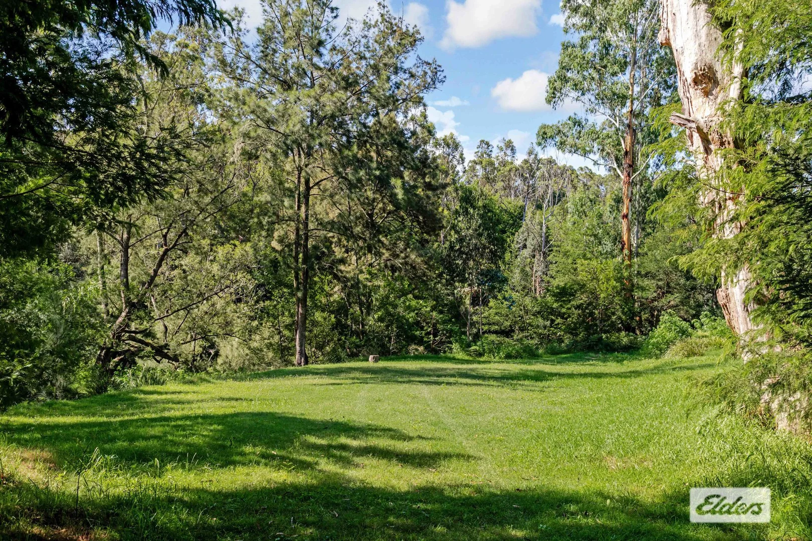 Additional image 6 of Lot 60 Egans Road, Runnyford NSW 2536