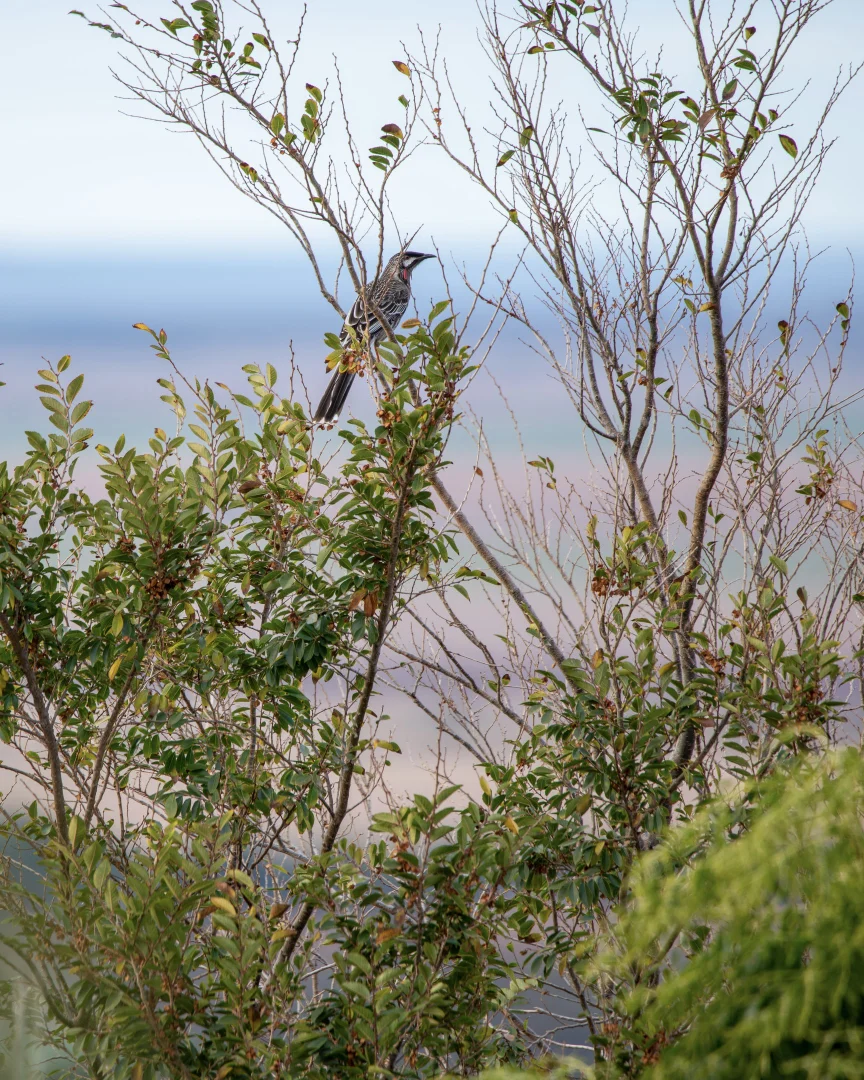 Additional image 63 of 412D Bratten Way, Tumby Bay SA 5605