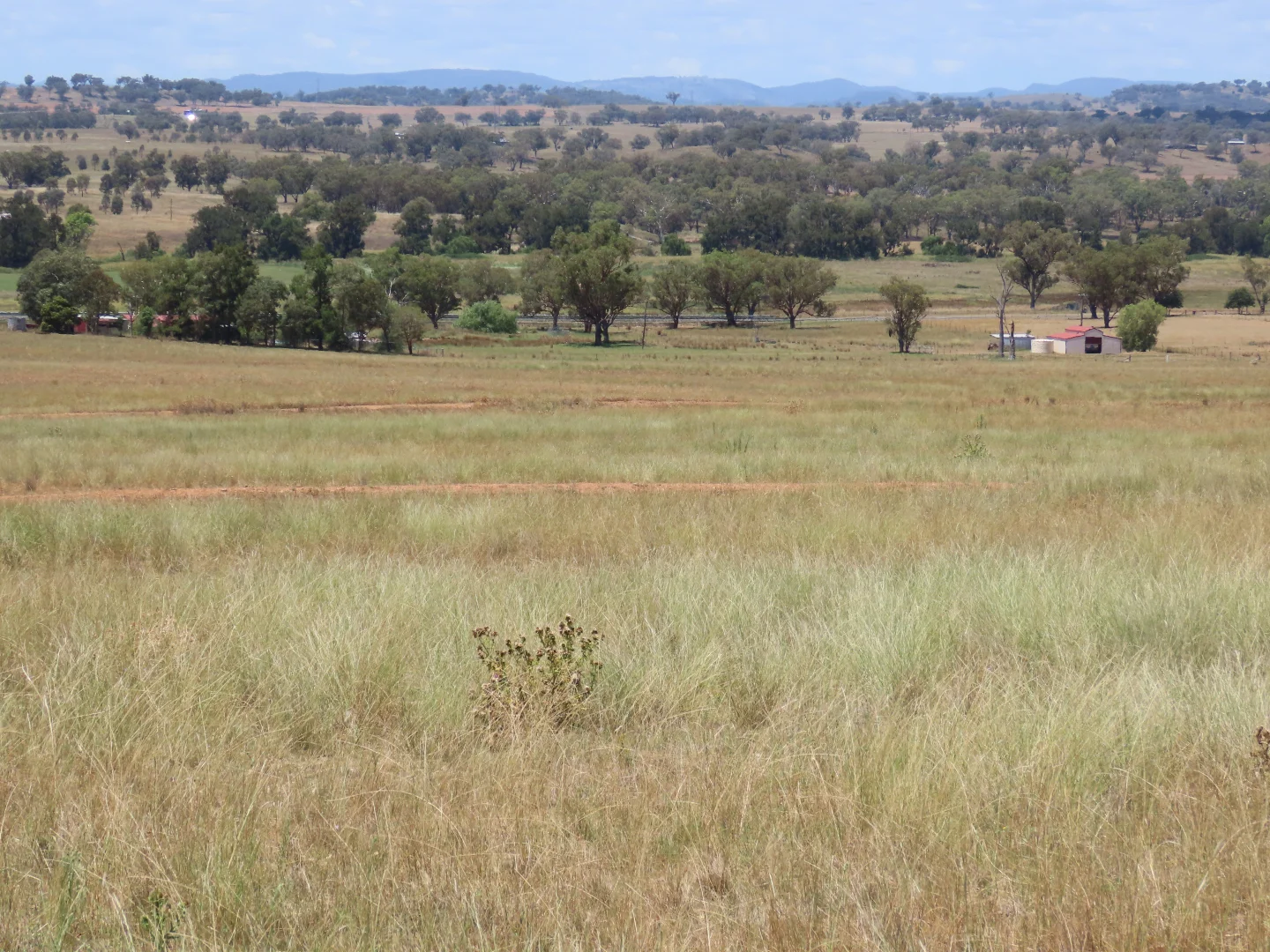 Additional image 10 of "Wattle-wee-doo" 14213 New England HWY, Timbumburi NSW 2340