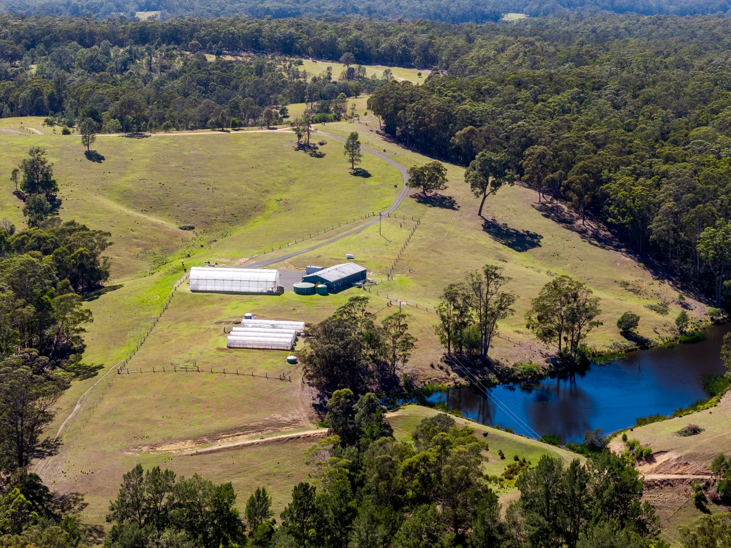 Additional image 31 of 336 Westrops Road, Coolagolite NSW 2550
