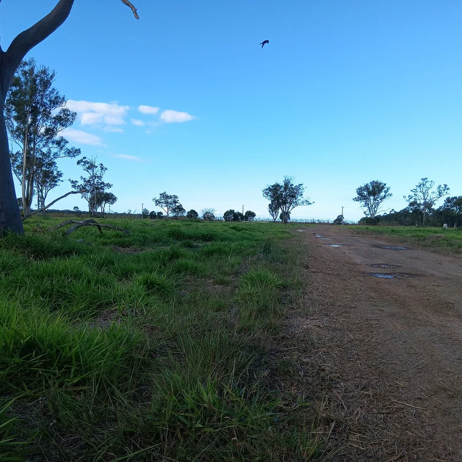 Additional image 2 of 1/133 Price Street, Kensington QLD 4670