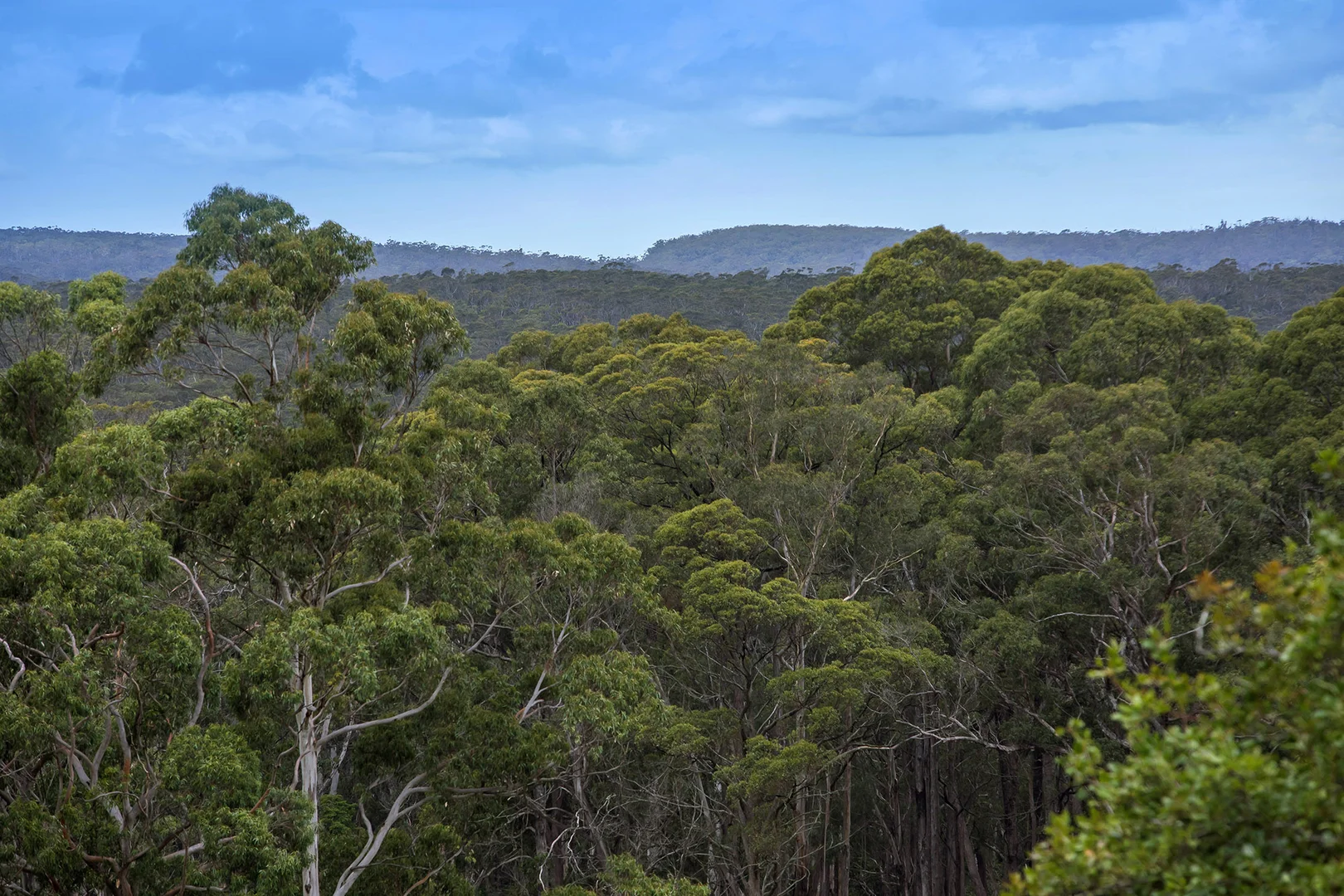 Additional image 19 of 67 Penrose Road, Bundanoon NSW 2578