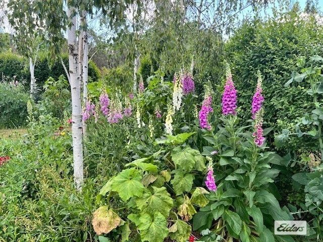 Additional image 18 of 149 Albert Road, Chiltern VIC 3683