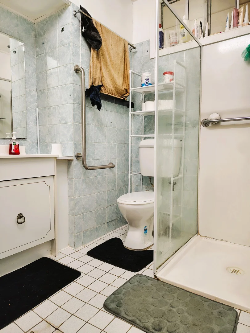 Additional image 15 of 2 Weddin Street, Grenfell NSW 2810