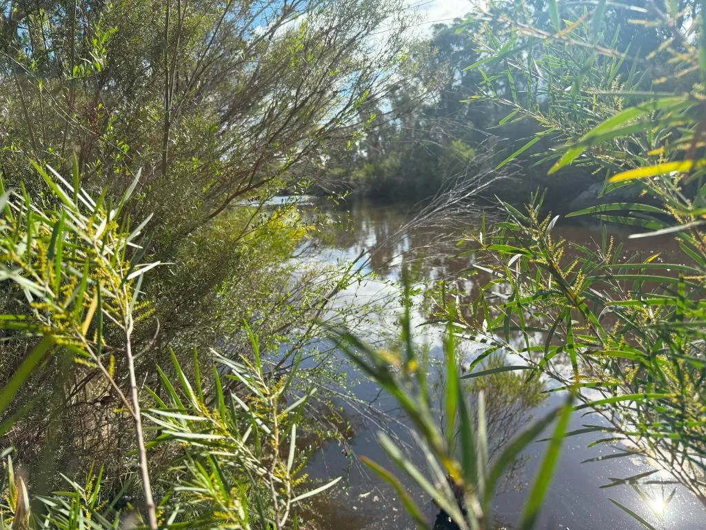 Additional image 12 of Lot/89 Fletcher Road, Ballandean QLD 4382