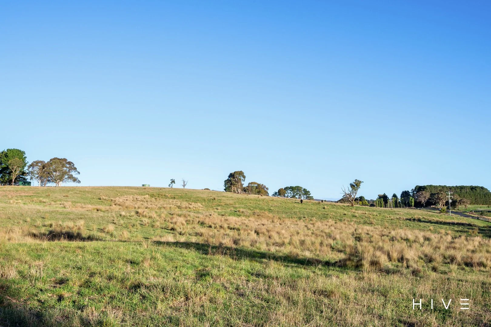 Additional image 15 of 8 Creekborough Road, Bywong NSW 2621