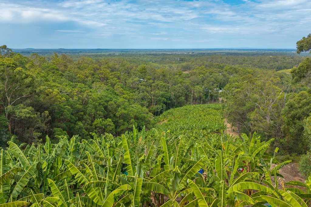 Additional image 26 of 349 Jackson Road, Wamuran QLD 4512