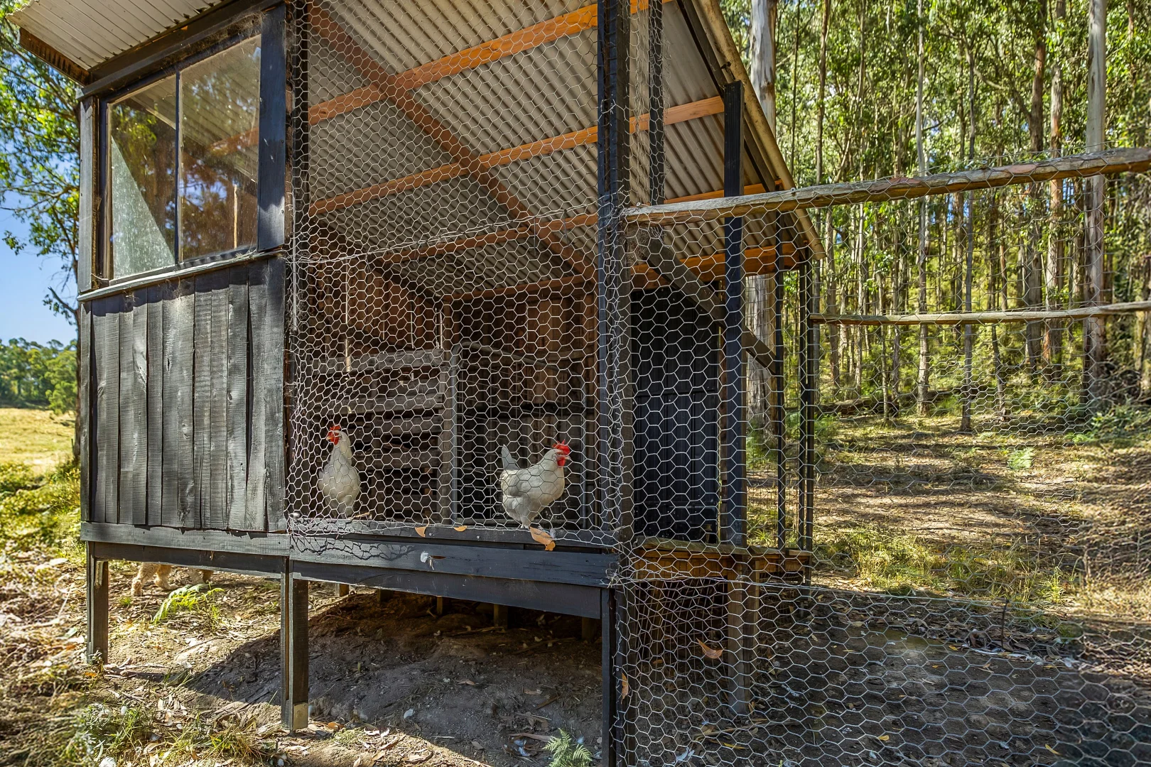 Additional image 25 of 680 Deans Marsh-Lorne Road, Pennyroyal VIC 3235