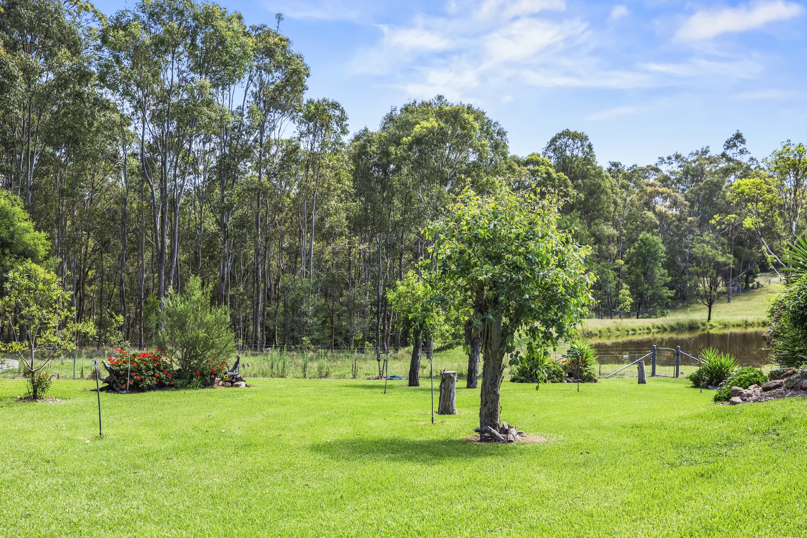 Additional image 18 of 9859 Jersey Place, Cobargo NSW 2550