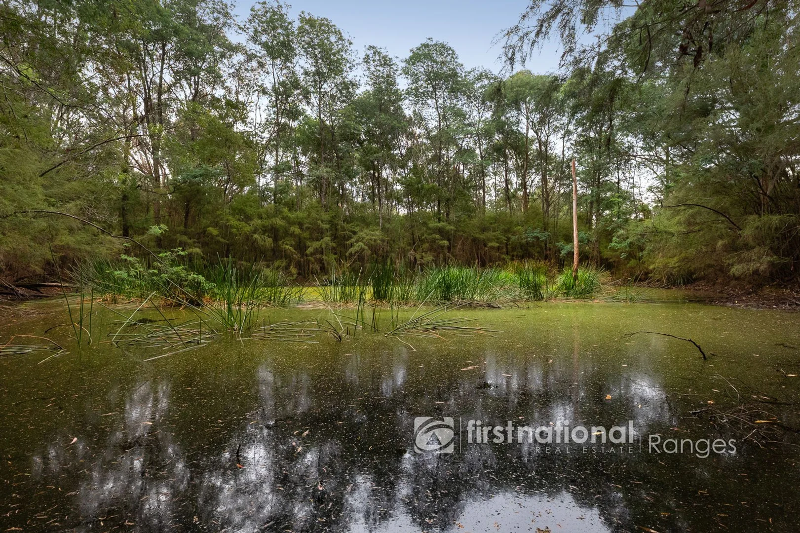 Additional image 22 of 705 Woori Yallock Road, Nangana VIC 3781