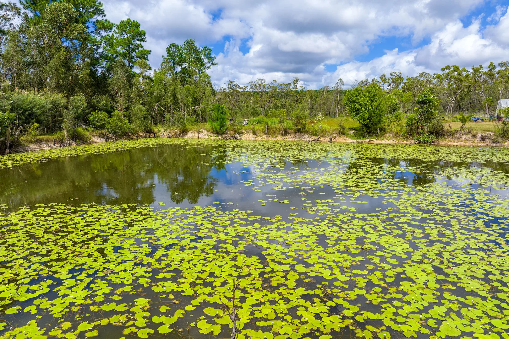 Additional image 10 of 47 Osborne Court, Wallu QLD 4570