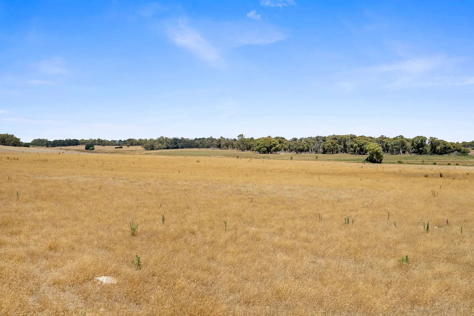Additional image 6 of 171 Boongarra Road, Laggan via, Crookwell NSW 2583