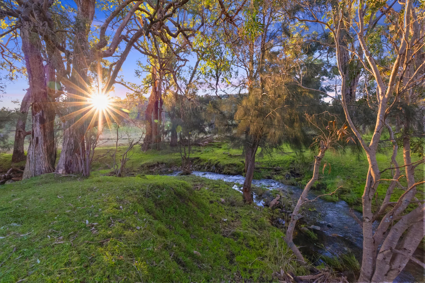 Additional image 6 of 24 Drop Bear Lane, Tamworth NSW 2340