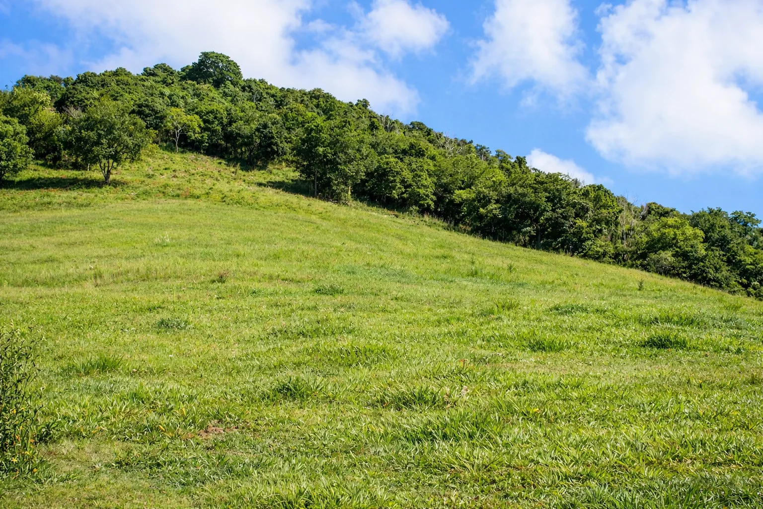 Additional image 7 of 205 Allen Road, Chatsworth QLD 4570