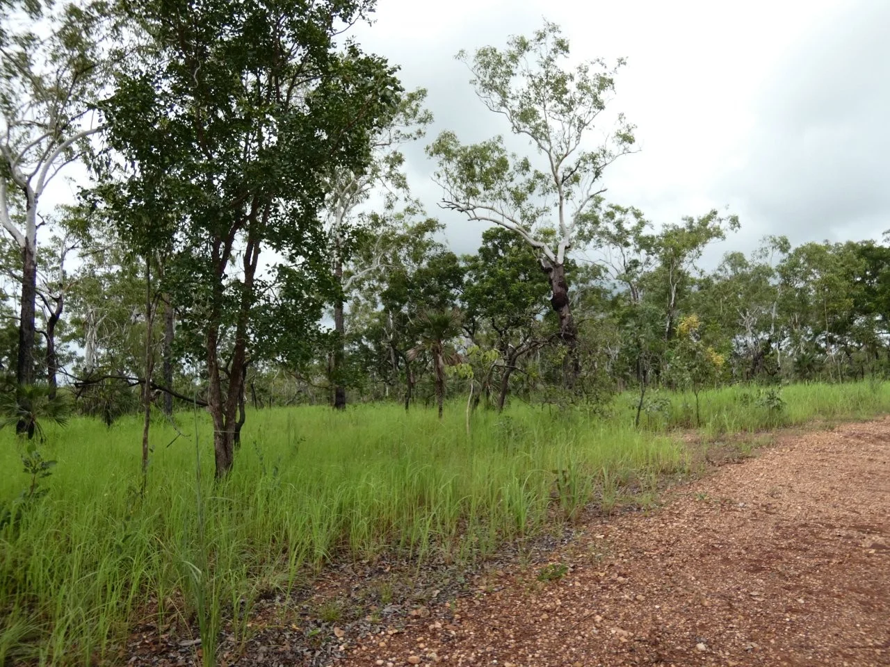 Additional image 15 of 2936 Litchfield Park Road, Charlotte NT 0822