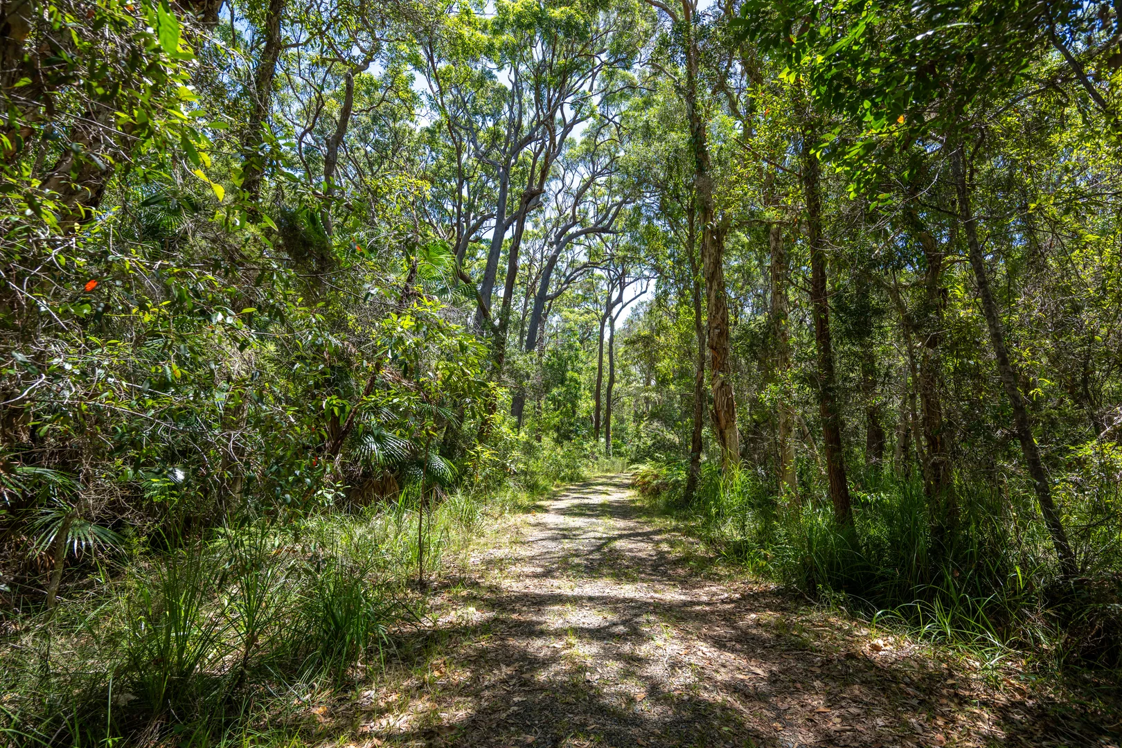 Additional image 24 of 2536 Solitary Islands Way, Arrawarra NSW 2456