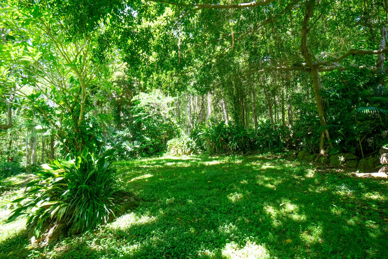 Additional image 29 of 771 Left Bank Road, Mullumbimby Creek NSW 2482