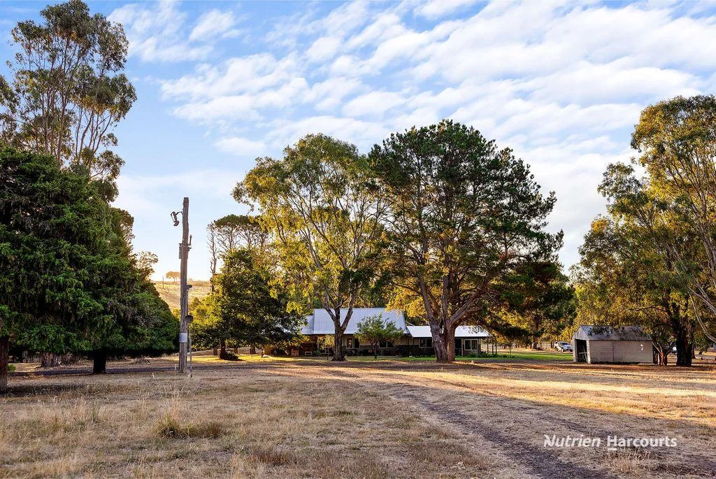 Additional image 18 of 810 Coojar Lane, Tarrayoukyan VIC 3315