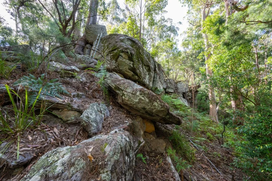 Additional image 7 of 1458 Sherwood Creek Road, Sherwood NSW 2450