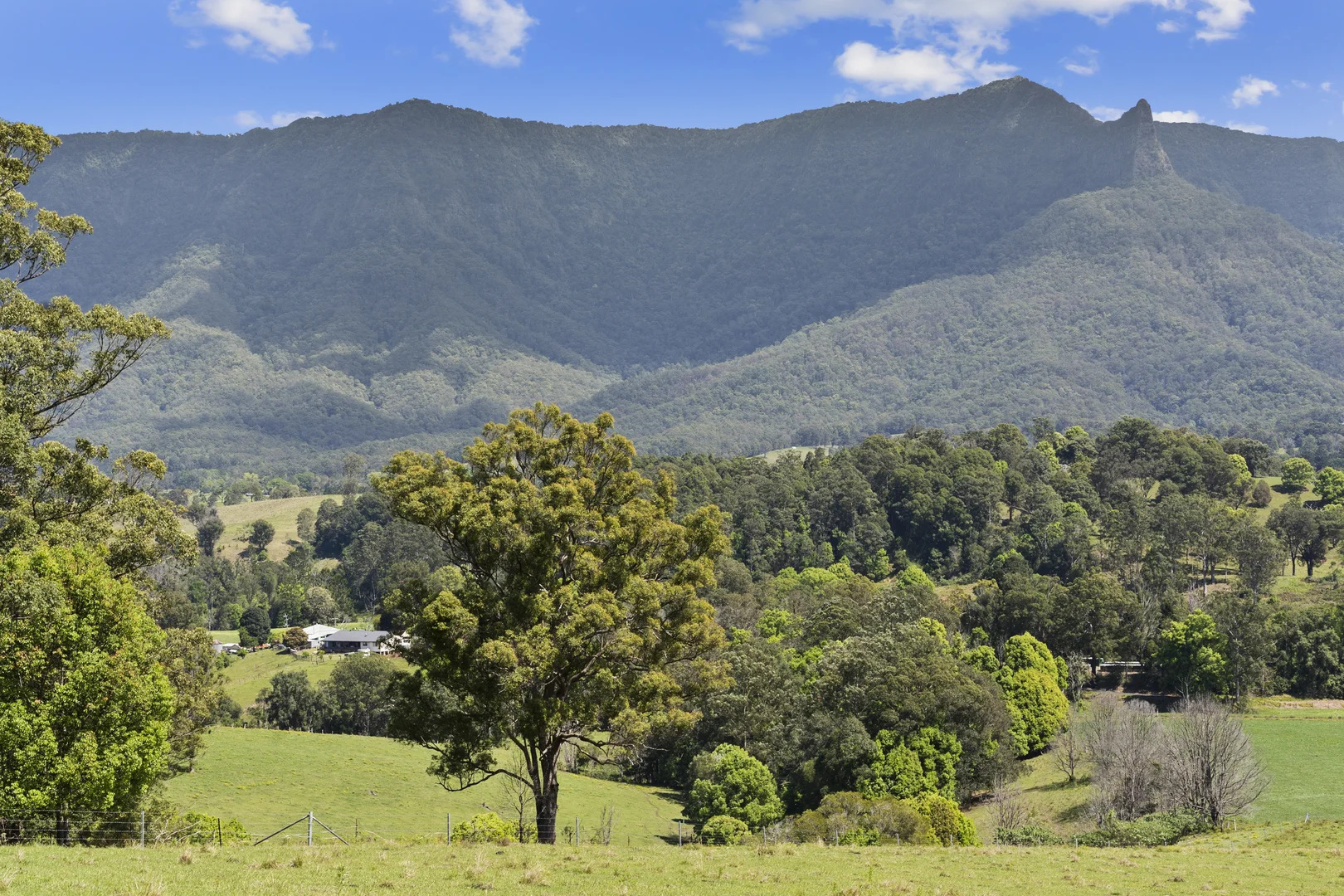 Additional image 19 of 703 Brays Creek Road, Brays Creek NSW 2484