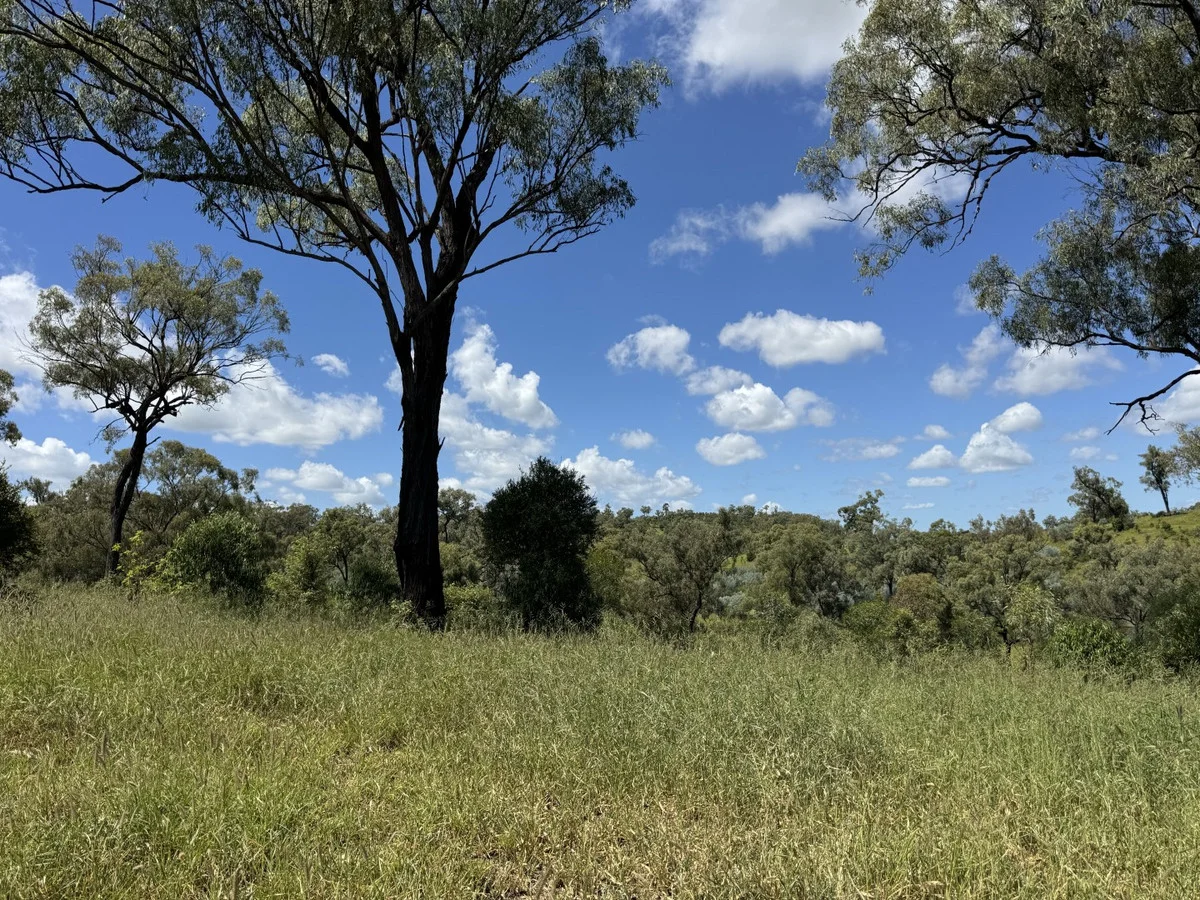 Additional image 23 of "Mustons" Frawleys Road, Thangool QLD 4716