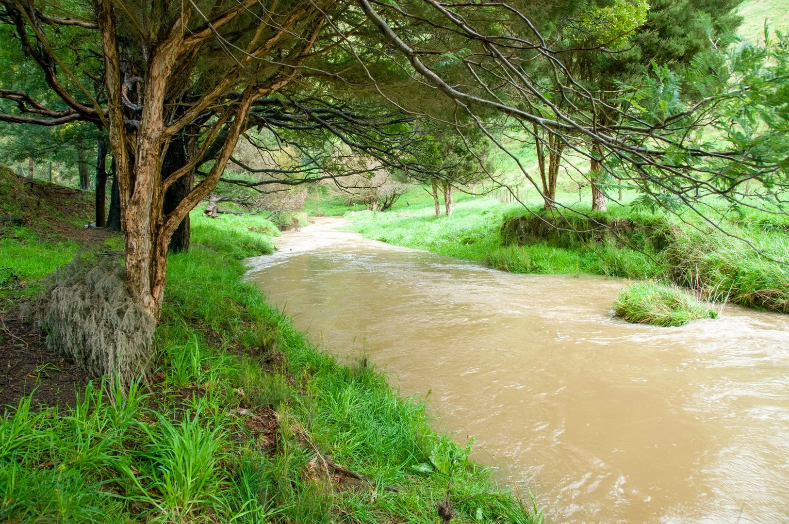 Additional image 31 of 1725 Wild Dog Valley, Strzelecki VIC 3950