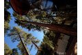 Additional image 3 of 9202 Wood Rd, Forest Falls, CA, 92339
