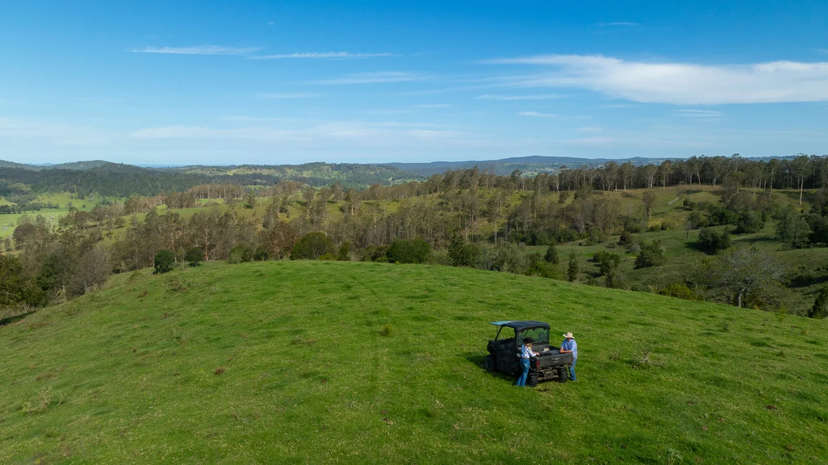 Additional image 9 of Bingeebeebra Creek, Mummulgum NSW 2469