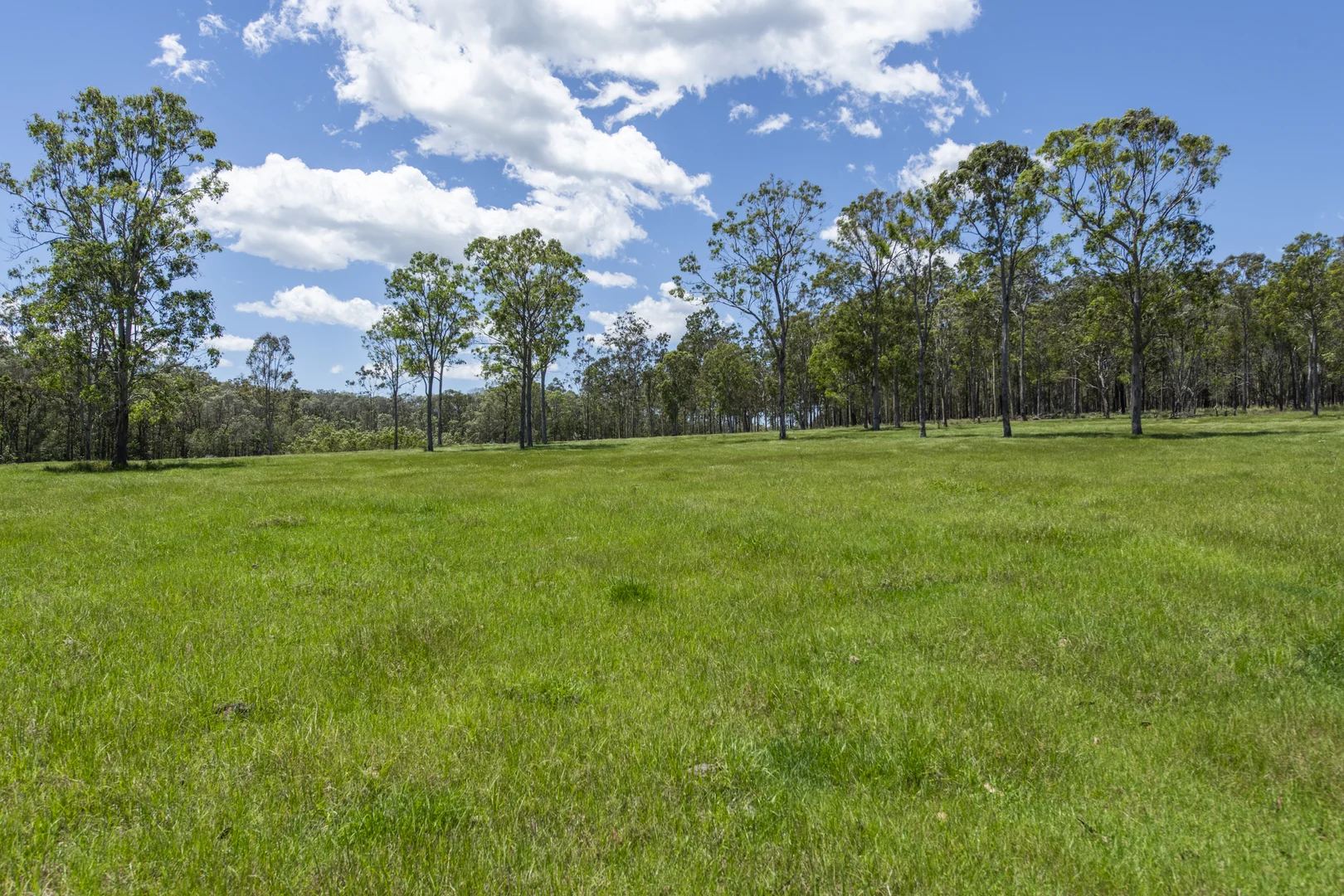 Additional image 37 of 172 Meyers Road, Ramornie NSW 2460
