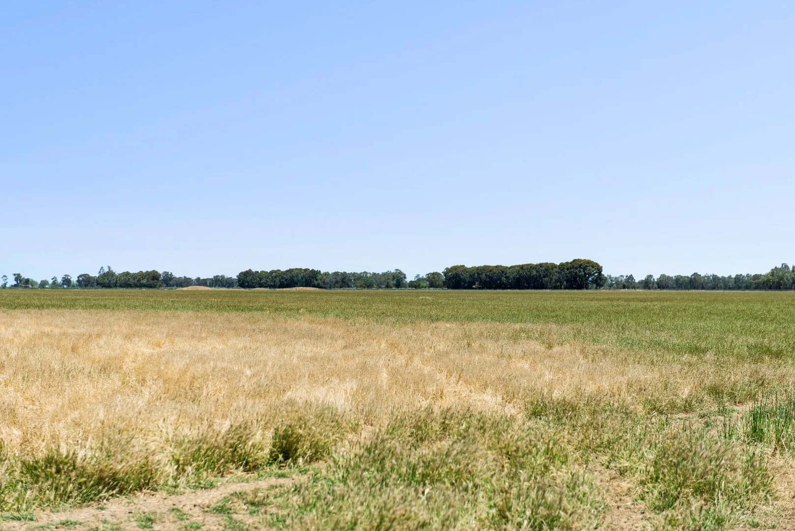 Additional image 7 of Lot N Murphys & Hercus Road, Calivil VIC 3573