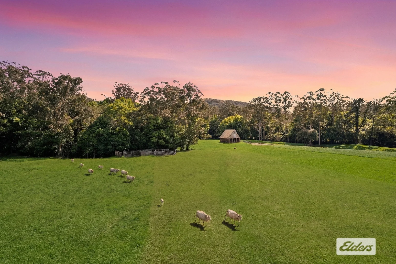 Additional image 3 of 1555 Yarramalong Road, Yarramalong NSW 2259