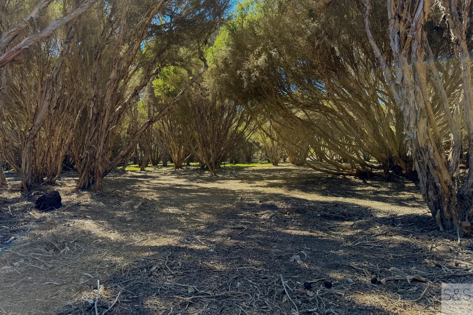 Additional image 28 of 10 Fourth Street, Sapphiretown SA 5222