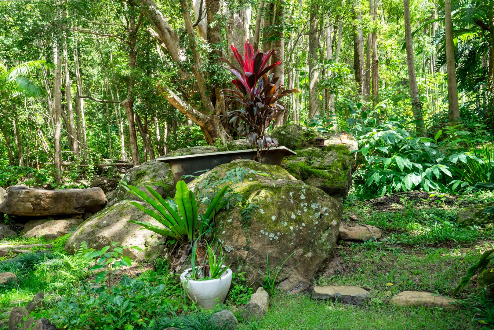 Additional image 25 of 771 Left Bank Road, Mullumbimby Creek NSW 2482