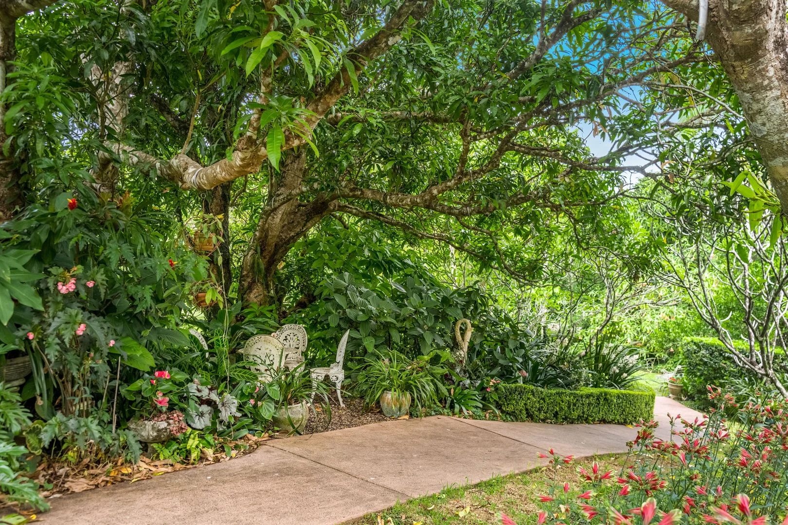 Additional image 6 of 722 Main Arm Road, Main Arm NSW 2482