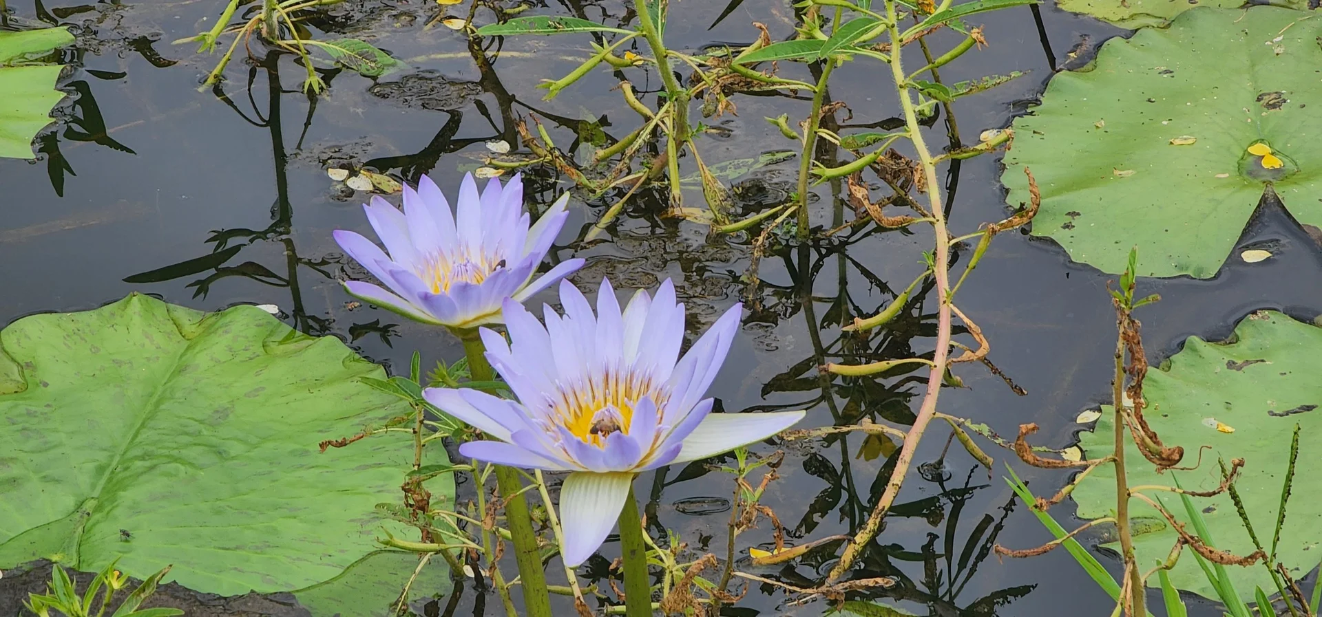 Additional image 20 of 5985 Oxley Highway, Ellenborough NSW 2446