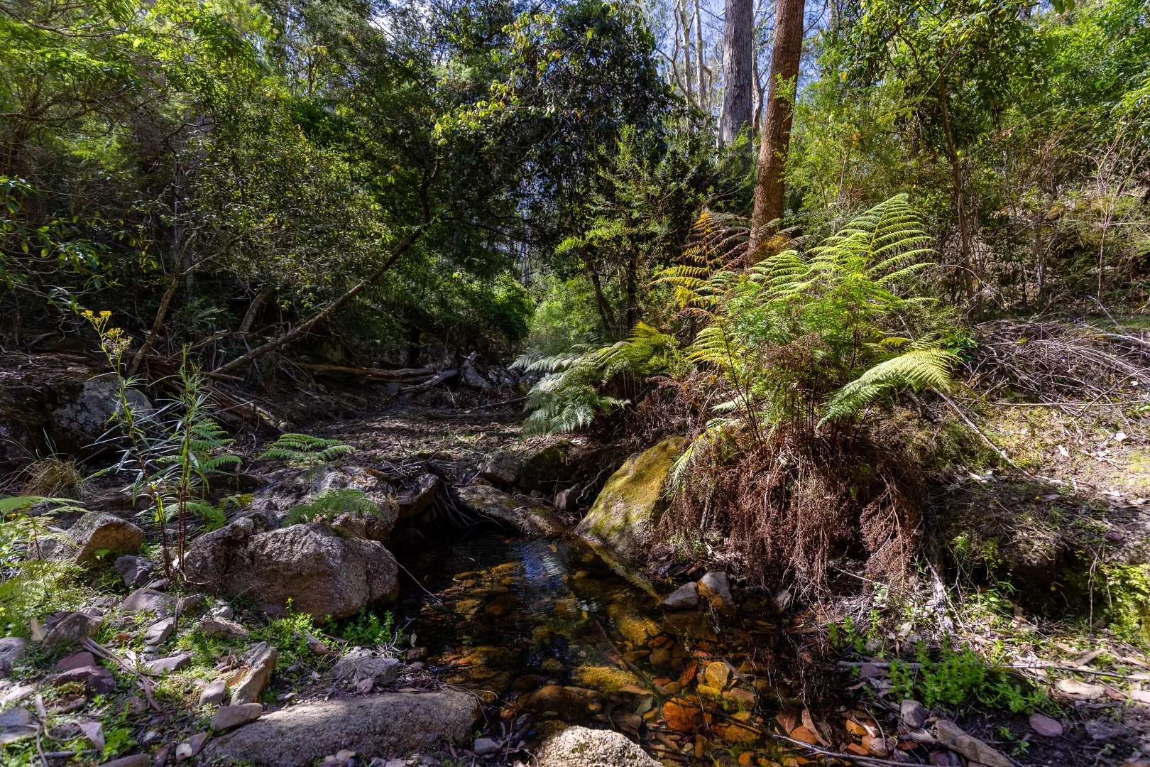 Additional image 11 of 464 Dorrigo Road, Brogo NSW 2550