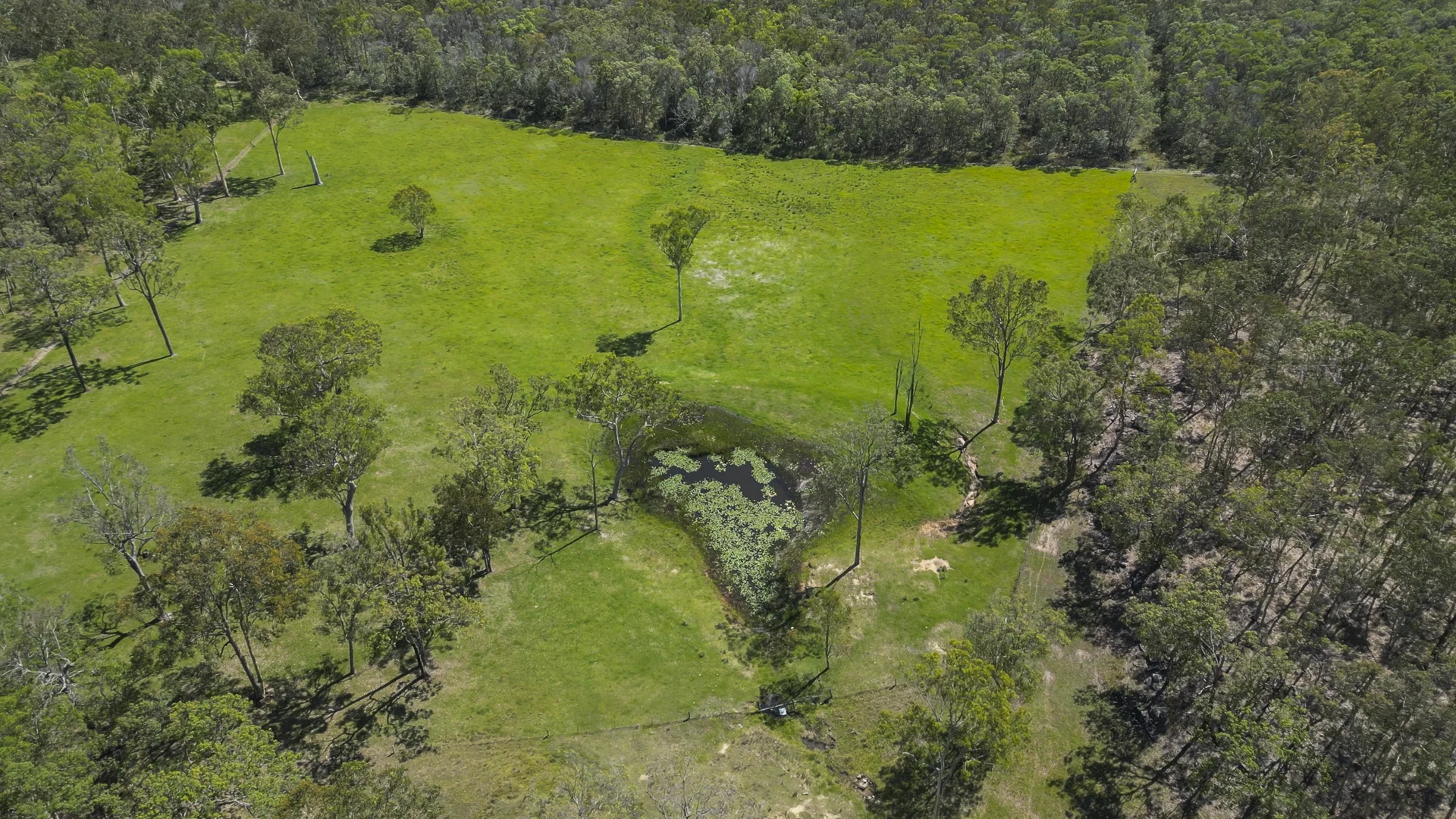 Additional image 41 of 172 Meyers Road, Ramornie NSW 2460