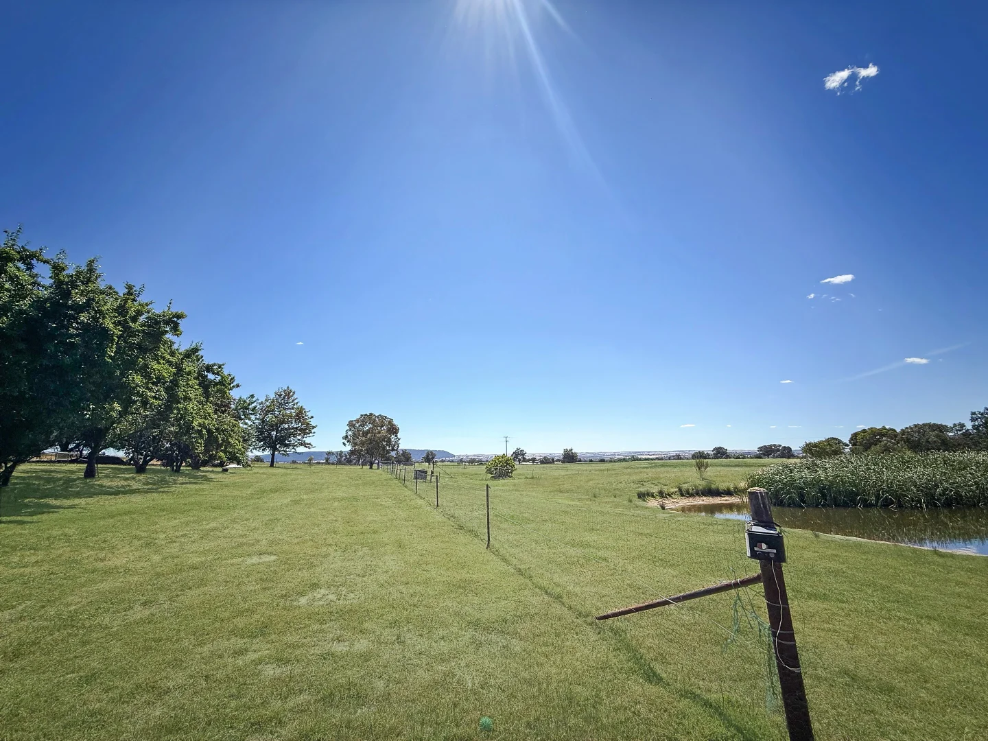 Additional image 3 of 3370 Murringo Road, Young NSW 2594