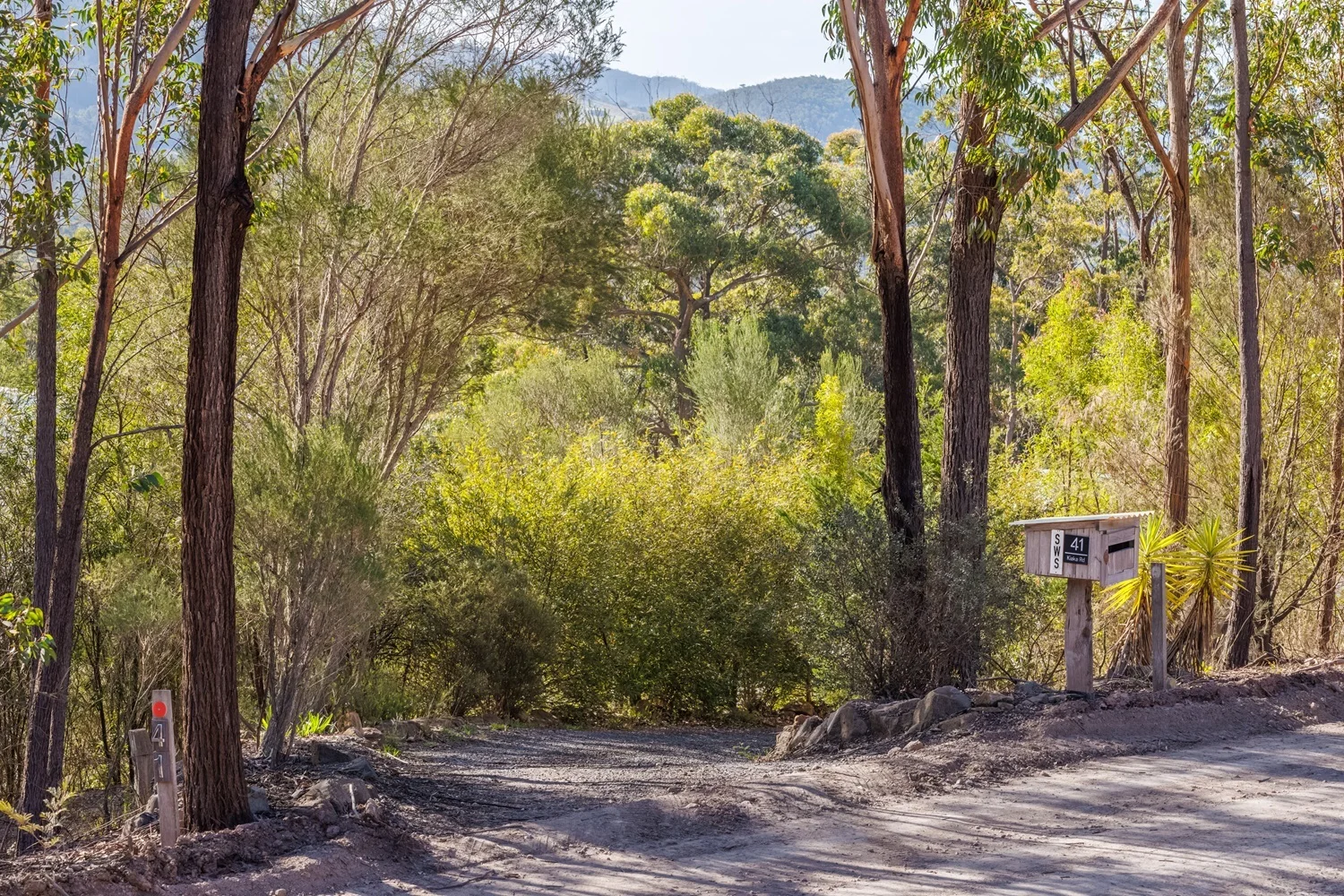 Additional image 2 of 41 Kiaka Road, Nethercote NSW 2549