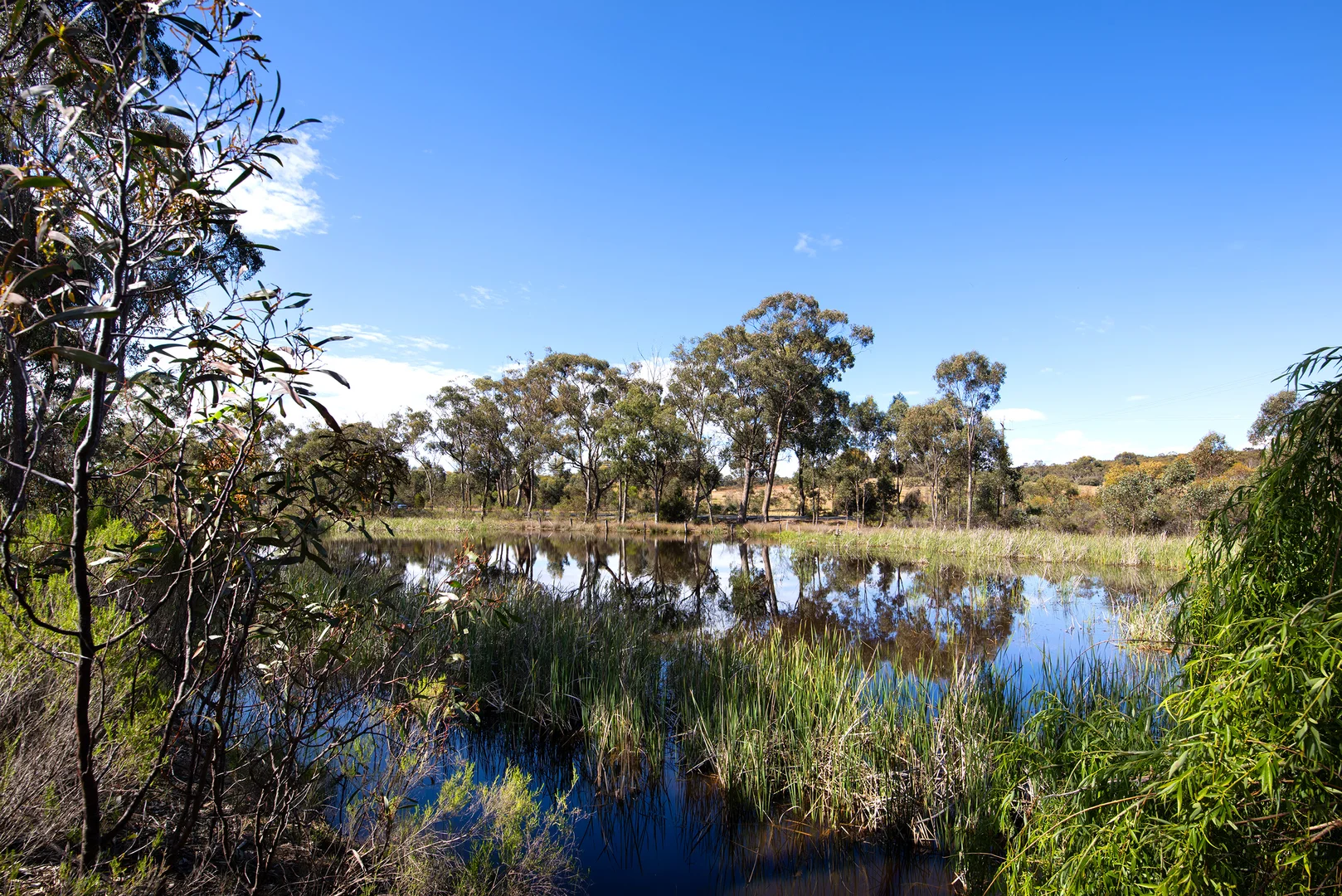 Additional image 6 of 43 Castlemaine-Maldon Road, McKenzie Hill VIC 3451