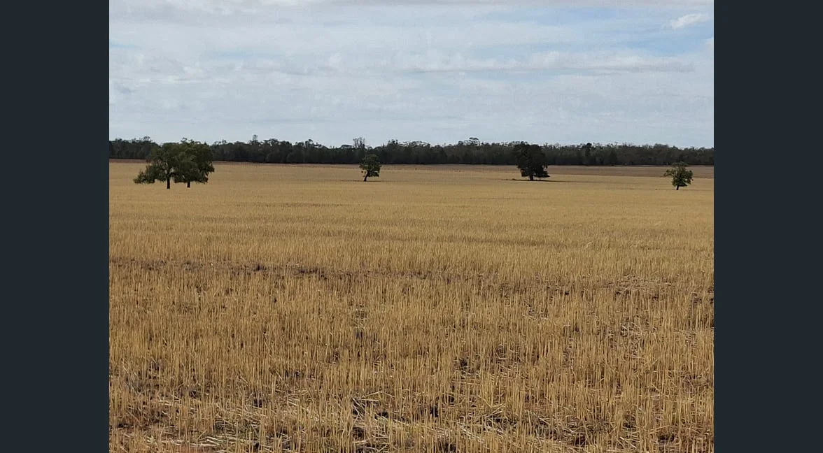 Additional image 26 of Alloway, Gilgandra NSW 2827