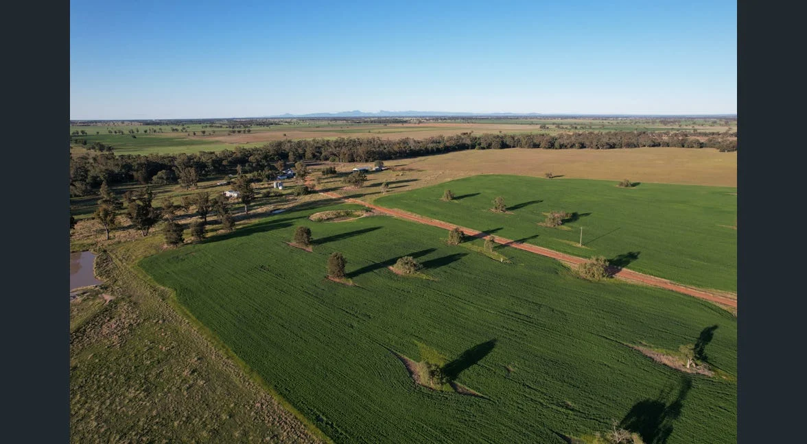 Additional image 34 of Alloway, Gilgandra NSW 2827