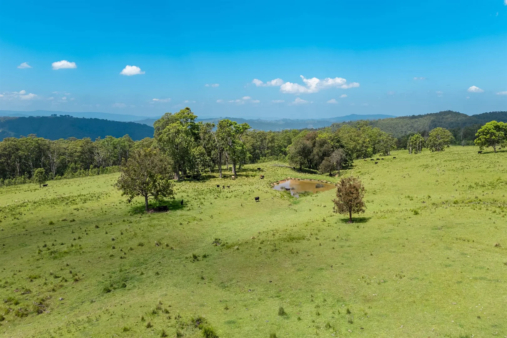 Additional image 19 of 321 Masseys Creek Road, Eccleston NSW 2311