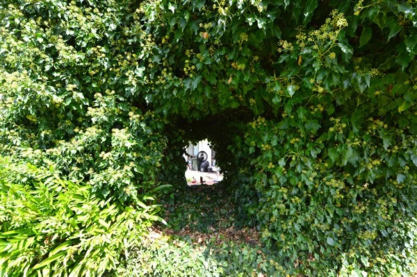 Additional image 14 of 43 Abercrombie Street, Guyra NSW 2365